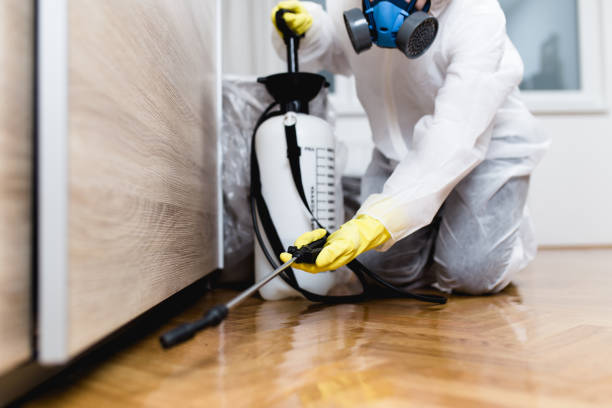 Reliable St Clair Shores, MI Pest Control Solutions