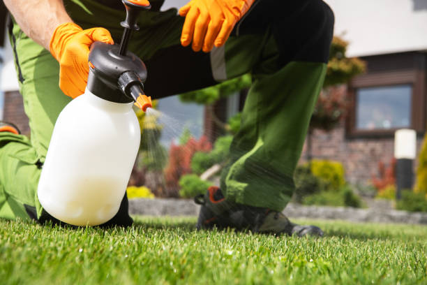 Best Rat Extermination Near Me  in St Clair Shores, MI