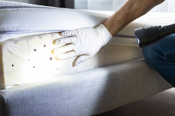 Best Pest Control Near Me  in St Clair Shores, MI